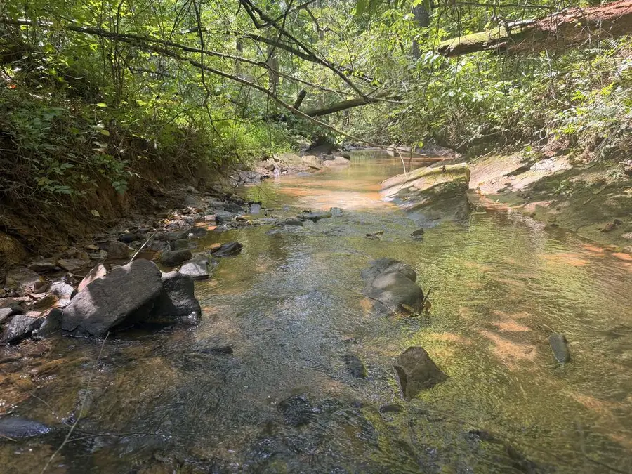 LT 32 Mission Hill Rd, Ellijay, GA 30540 - #2