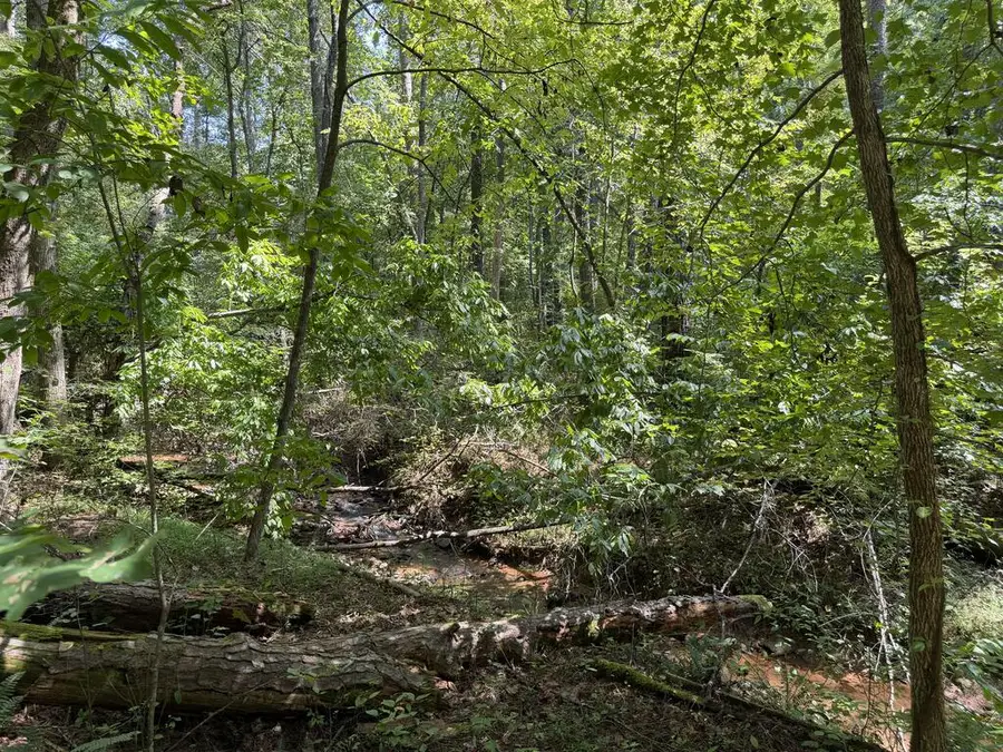 LT 32 Mission Hill Rd, Ellijay, GA 30540 - #3