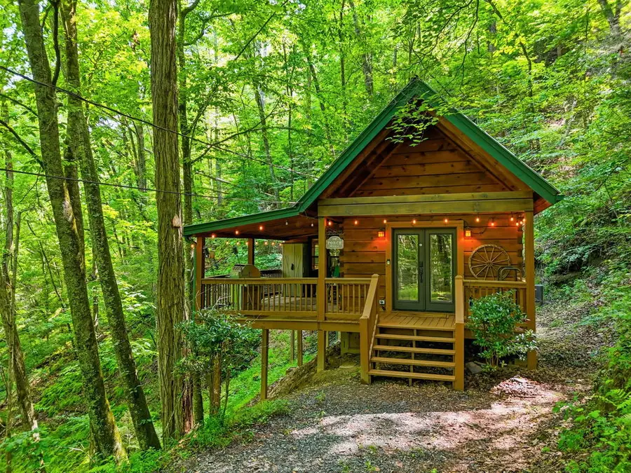 329 Laurel Ridge Drive, Blue Ridge, GA 30513 - #3