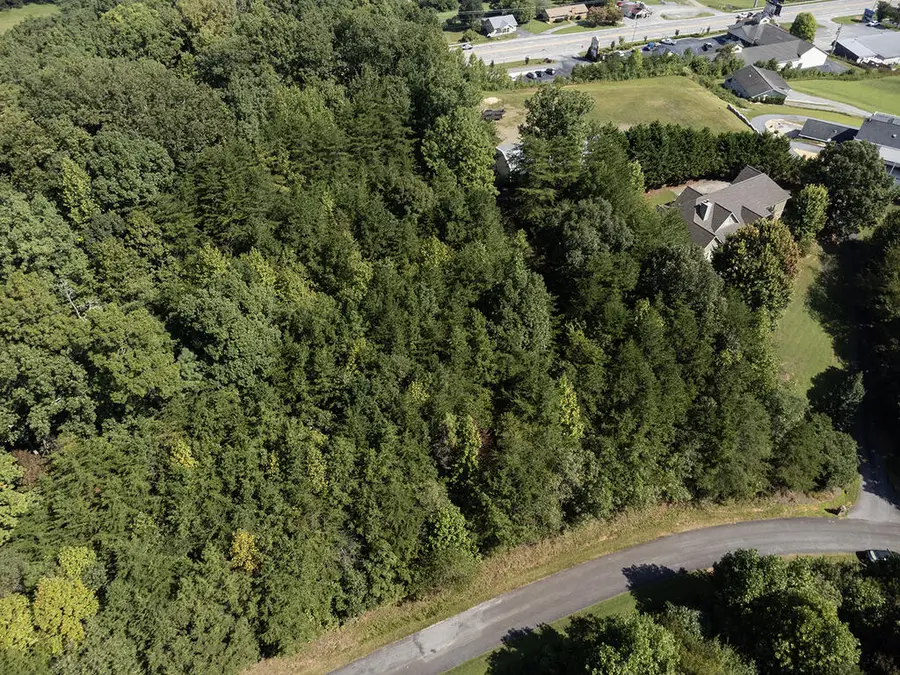 43 Hidden Fields Road, Hiawassee, GA 30546 - #3