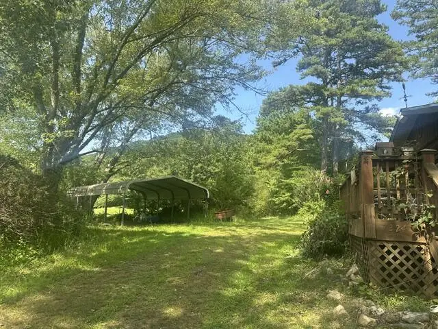7324 Hwy 294, Murphy, NC 28906 - #3