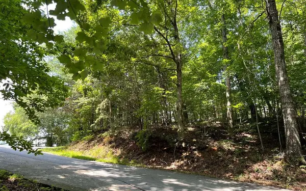 #7 Mountain Drive N, Hiawassee, GA 30546