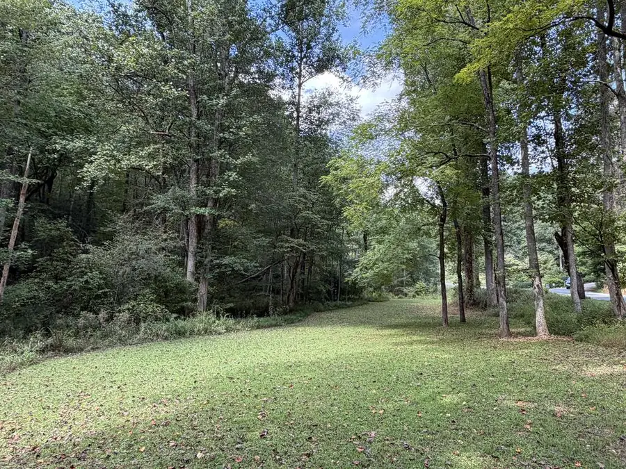 6.13 AC Lucius Road, Cherry Log, GA 30522 - #3