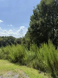 Lot 62 Big Valley Lane, Morganton, GA 30560 - #1