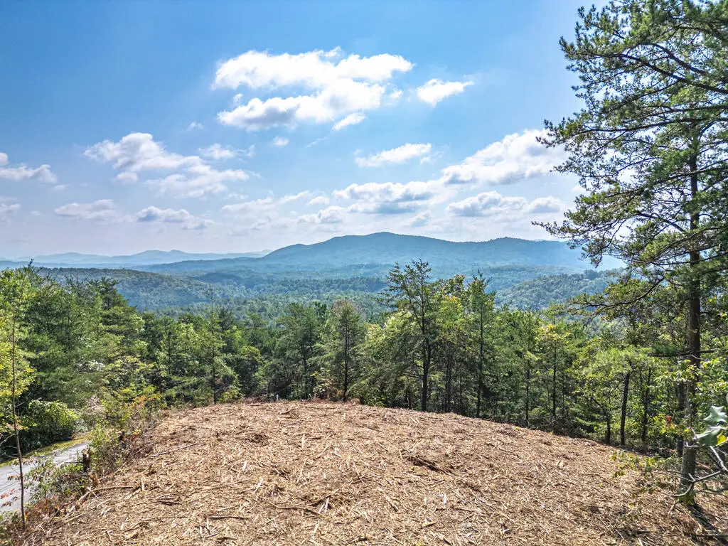 Lot 157 Crossover Lane, Murphy, NC 28906 - #1