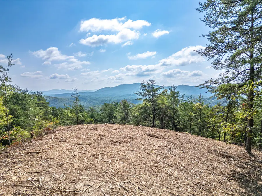 Lot 157 Crossover Lane, Murphy, NC 28906 - #3