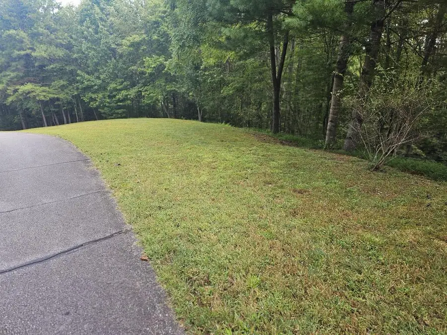 0 Wildcat Drive, Murphy, NC 28906 - #3
