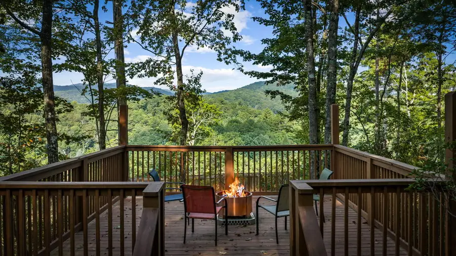 165 All Good Road, Cherry Log, GA 30522 - #3