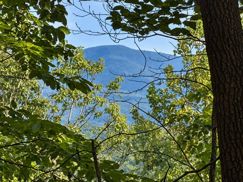 35 Saw Blade Lane, Ellijay, GA 30540 - #1
