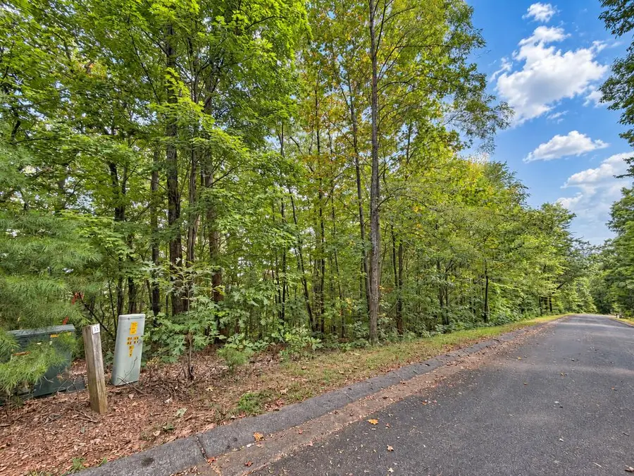 35 Saw Blade Lane, Ellijay, GA 30540 - #3