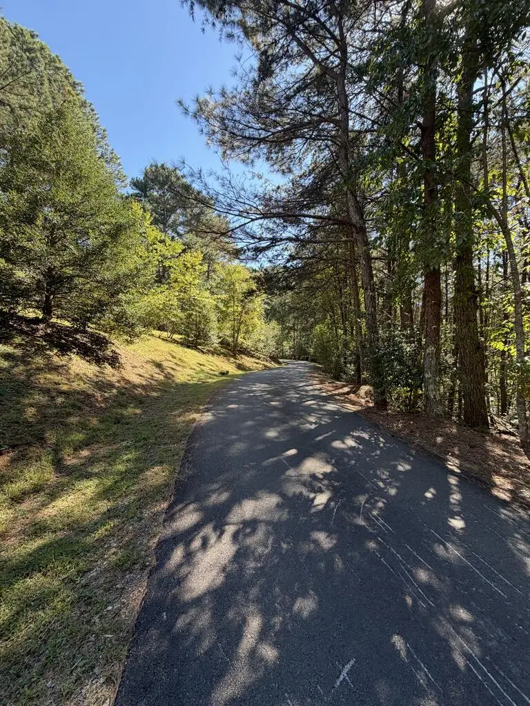 168 Highland Woods Road, Copperhill, TN 37317 - #3