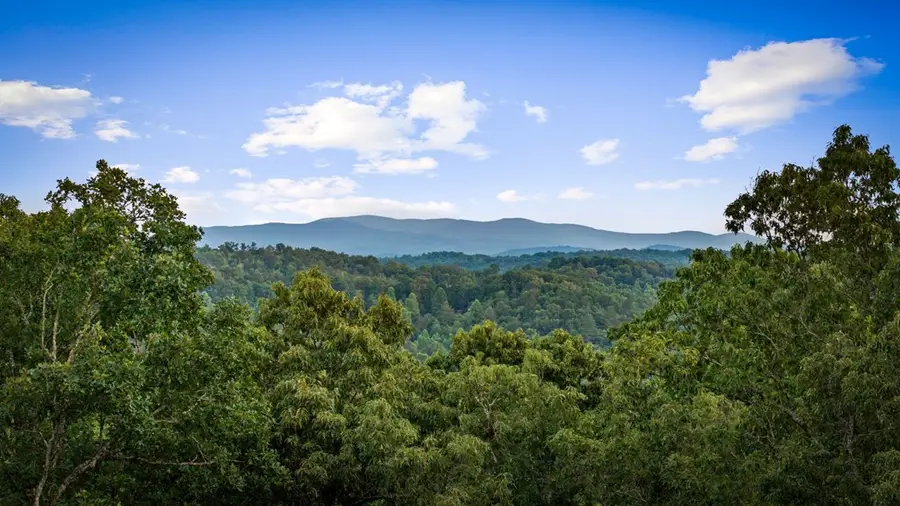 241 Wolf Creek Mountain Road, Mineral Bluff, GA 30559 - #2
