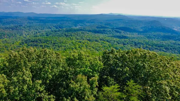 T-5 Talona Mountain Road, Ellijay, GA 30536