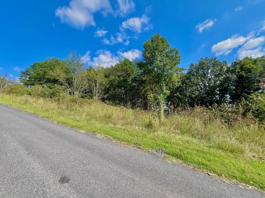T-5 Talona Mountain Road, Ellijay, GA 30536 - #2
