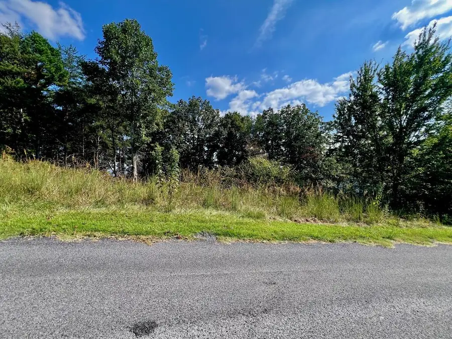 T-5 Talona Mountain Road, Ellijay, GA 30536 - #3