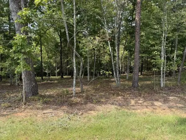 Lot 39 Tall Pine Trail, Mineral Bluff, GA 30559