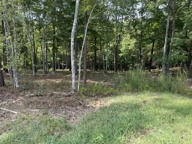 Lot 39 Tall Pine Trail, Mineral Bluff, GA 30559 - #3