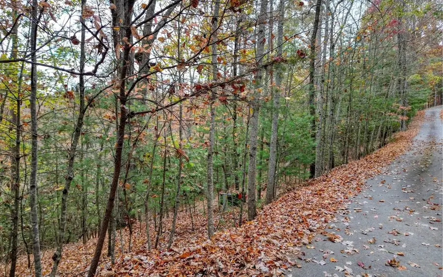 LT 10 Amy Lynn Drive, Blairsville, GA 30512 - #3