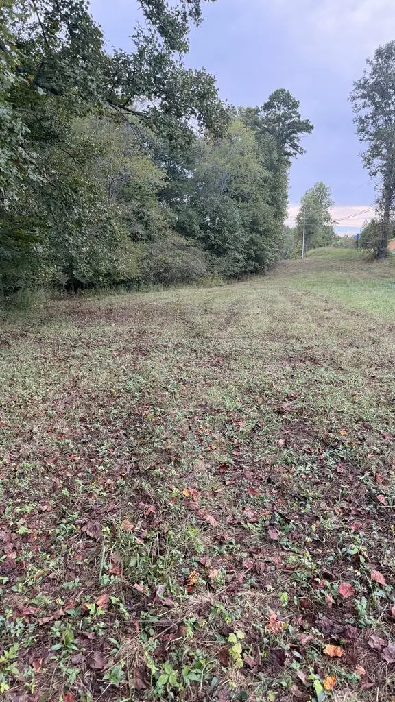 00 Humphrey Mill Road, Mineral Bluff, GA 30559 - #3