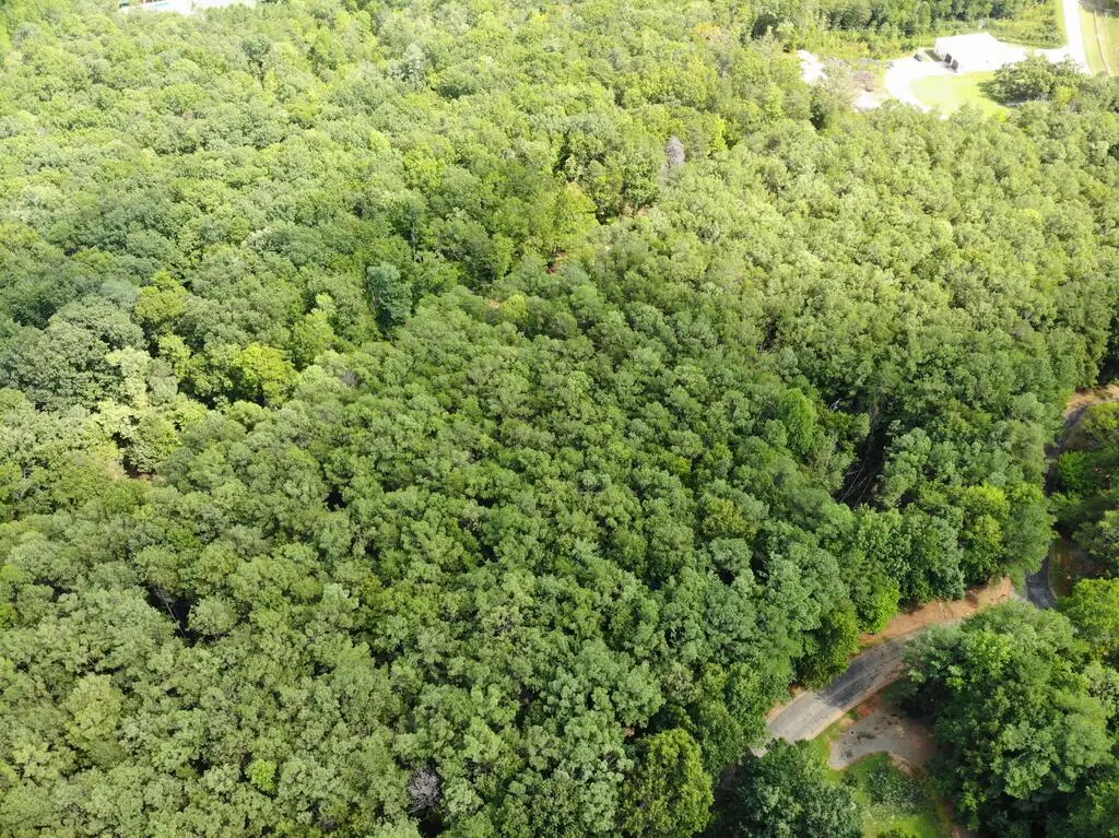 0 Cider Ridge, Clarkesville, GA 30523 - #1
