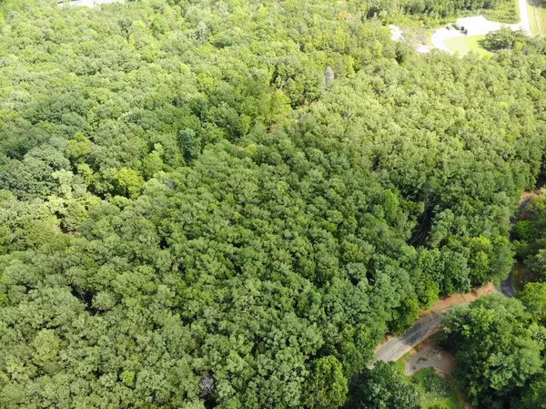 0 Cider Ridge, Clarkesville, GA 30523