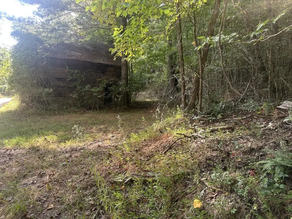 000 Brendle Cove Lane, Hayesville, NC 28904 - #1
