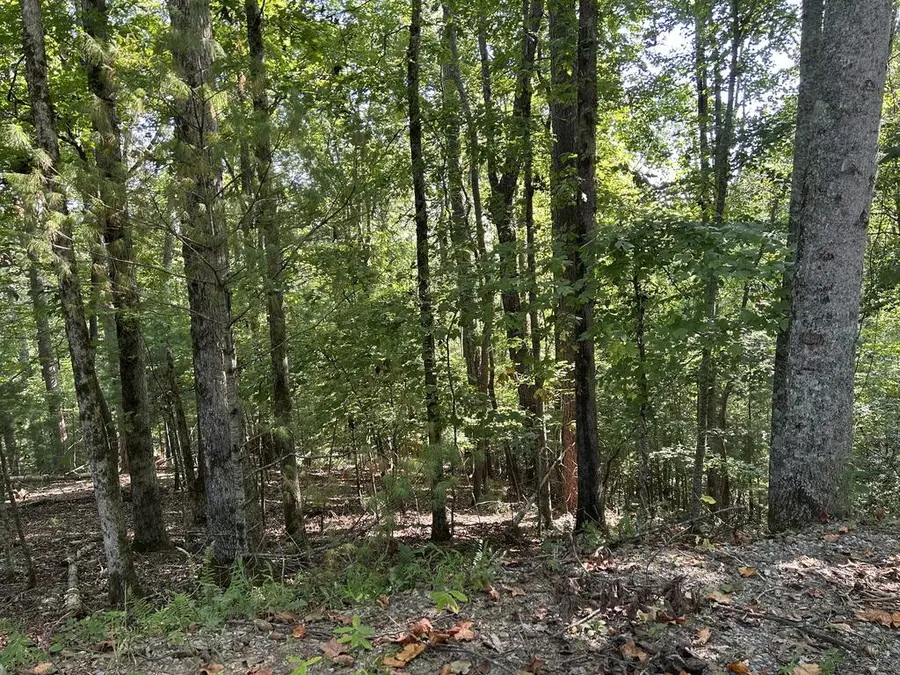Lot 341 Catawba Circle, Ellijay, GA 30540 - #3