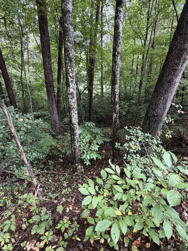 0 Little Wolf Creek Road, Murphy, NC 28906