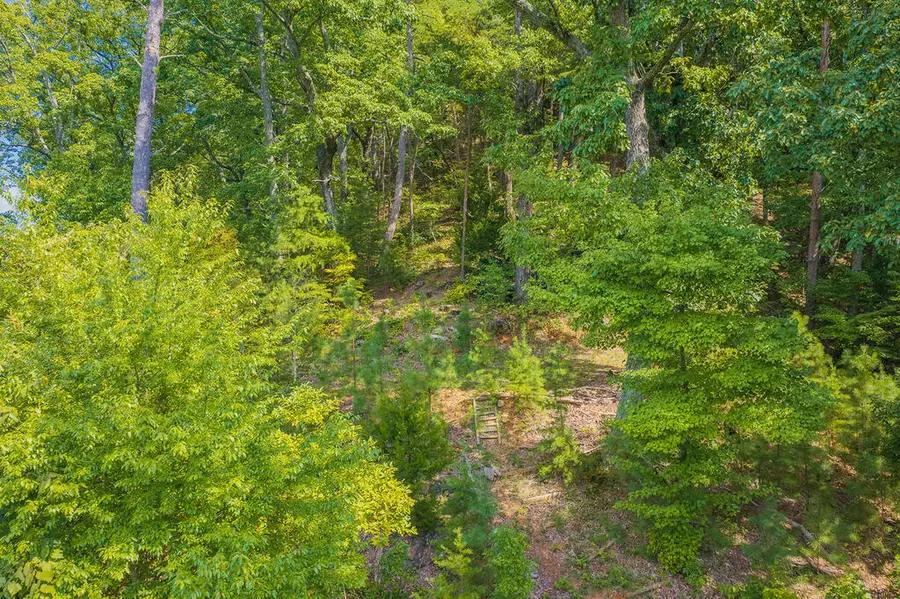 104 Hopewell Drive Ne, Ranger, GA 30734 - #3