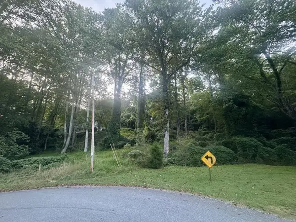 LT 53 Circle Drive, Morganton, GA 30560