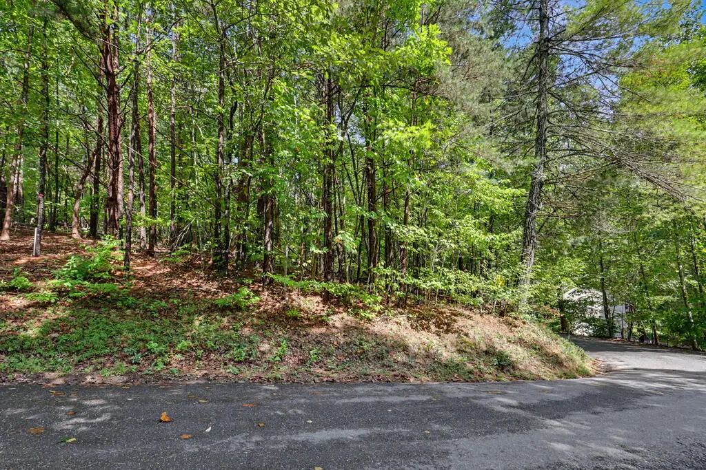 Lot 73 Pinecrest, Young Harris, GA 30582 - #1