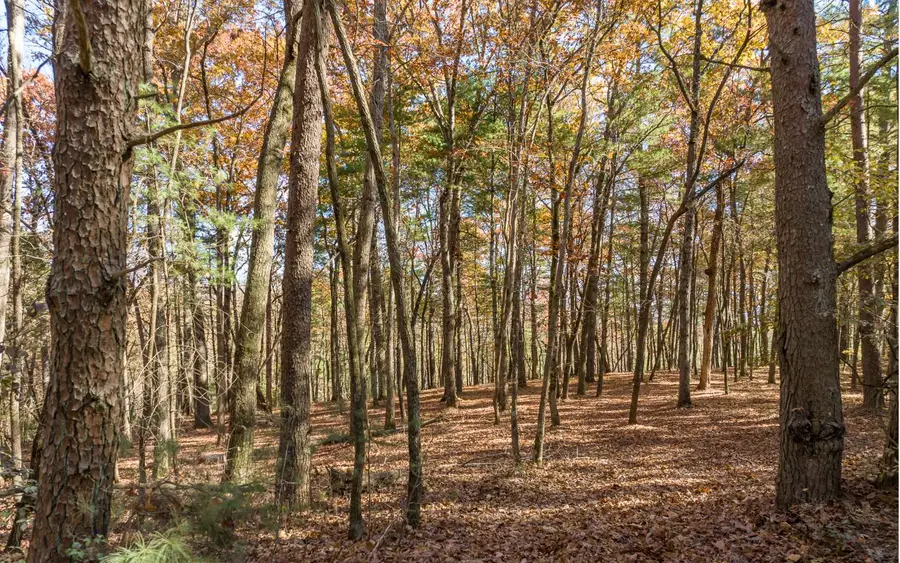 1 TR Old Anderson Creek, Ellijay, GA 30536 - #3