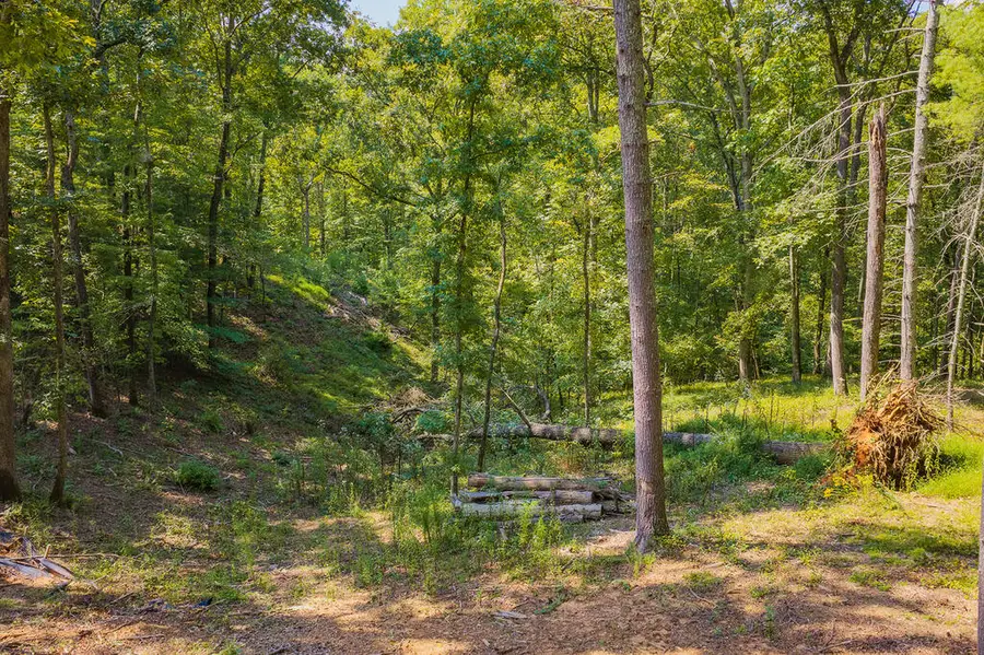 Lot 344 Lower Knoll Court, Talking Rock, GA 30175 - #2