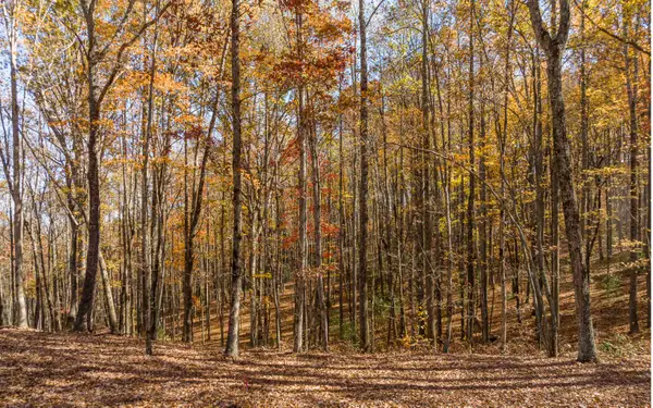 Lot 17R Tanager Trail, Ellijay, GA 30536