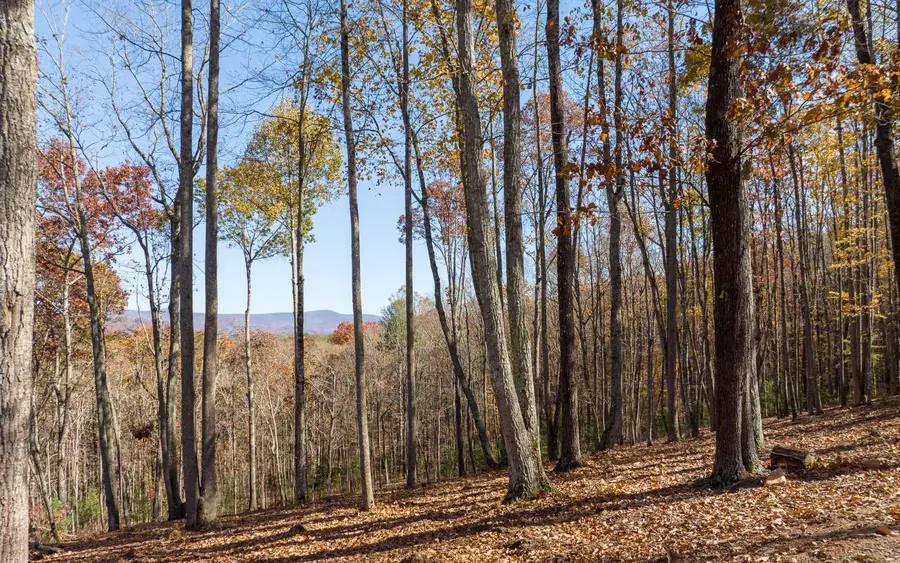 19R Settlement Trail, Ellijay, GA 30536 - #2