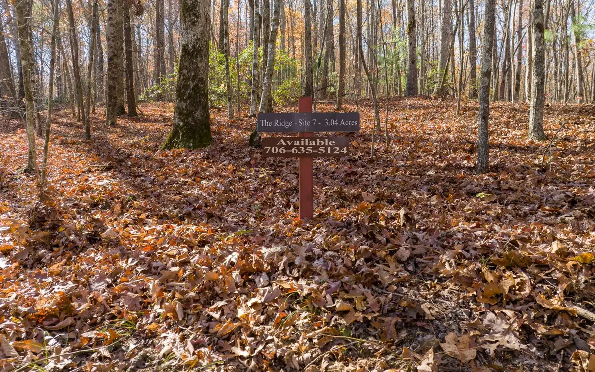 LOT 7 Joseph Anderson Trail, Ellijay, GA 30536 - #1