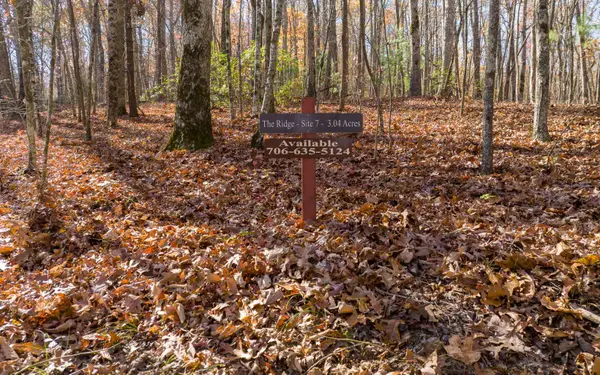 LOT 7 Joseph Anderson Trail, Ellijay, GA 30536
