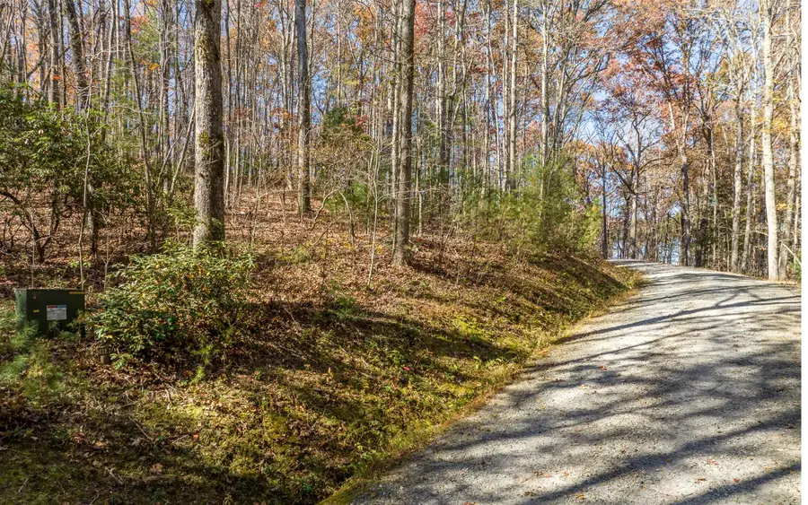 LOT 7 Joseph Anderson Trail, Ellijay, GA 30536 - #2