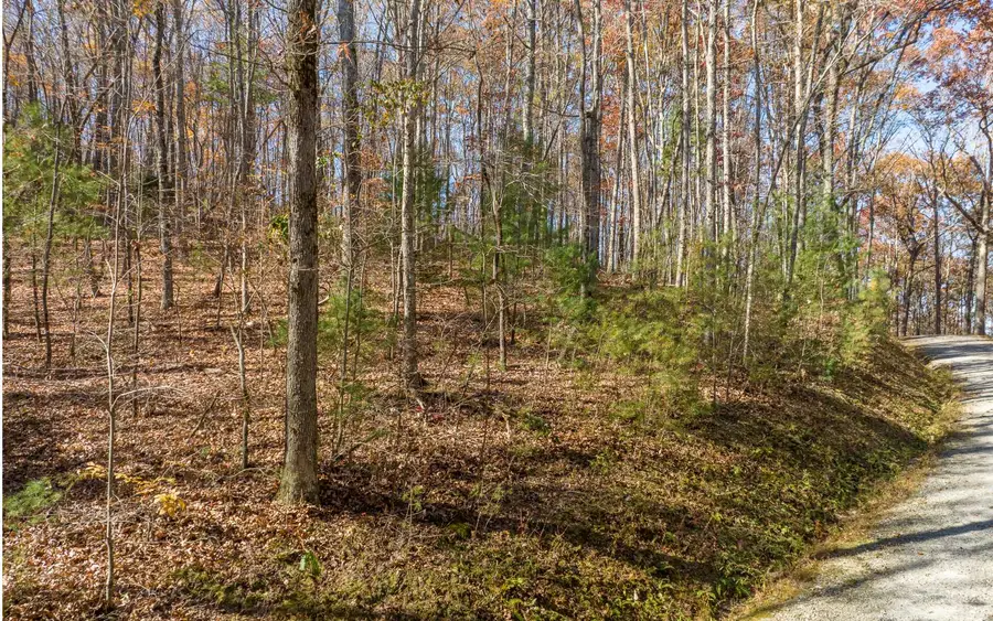 LOT 7 Joseph Anderson Trail, Ellijay, GA 30536 - #3