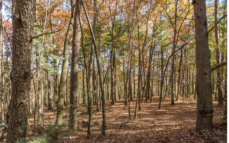2 TR Old Anderson Creek, Ellijay, GA 30536 - #2
