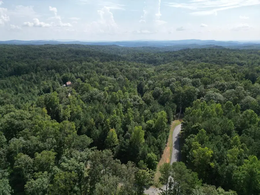 53 Lakeland Drive, Ellijay, GA 30540 - #3