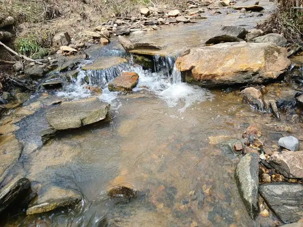Lot 337 Timber Creek Trail, Talking Rock, GA 30175