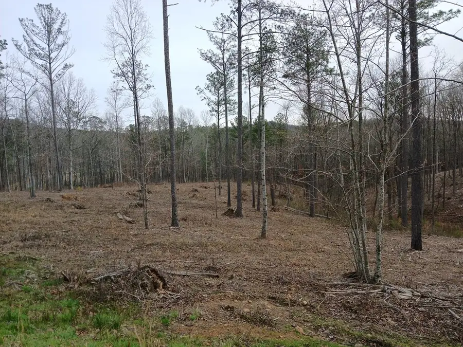 Lot 337 Timber Creek Trail, Talking Rock, GA 30175 - #3