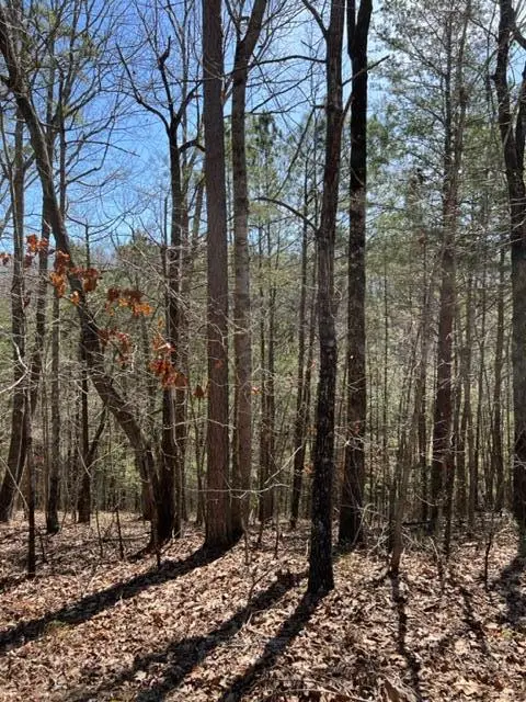 LT 4 Hunter Ridge, Ellijay, GA 30540 - #1