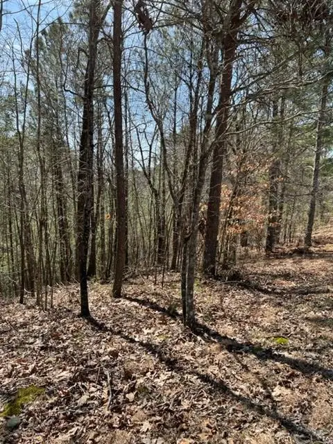 LT 4 Hunter Ridge, Ellijay, GA 30540 - #2
