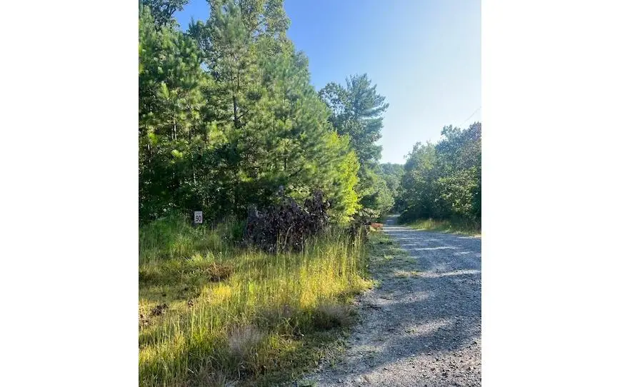 LT 50 White Pine Ridge, Ellijay, GA 30540 - #1
