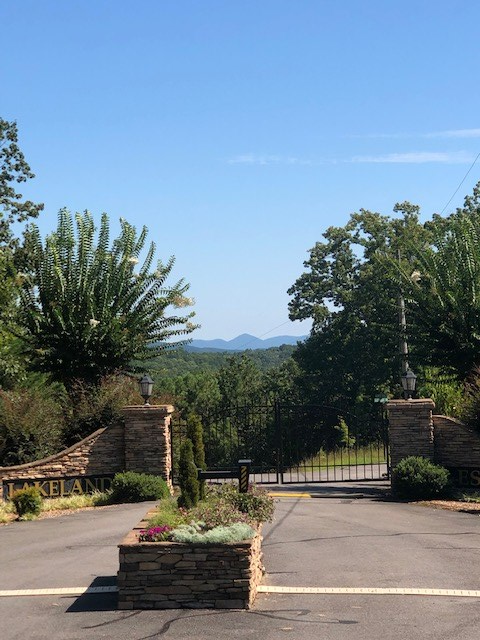 LT 33 Buck Creek Road, Ellijay, GA 30540 - #3