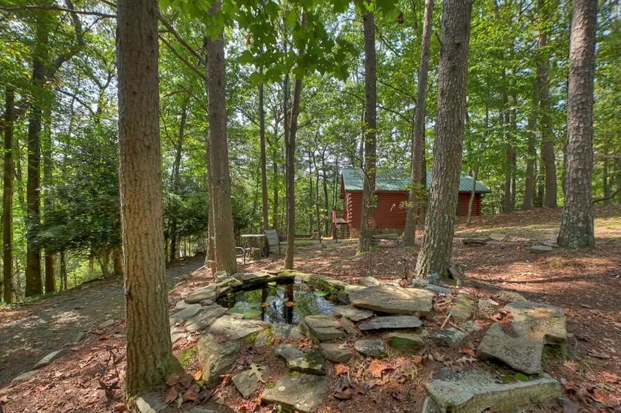 29 River Ranch Court, Ellijay, GA 30540 - #2