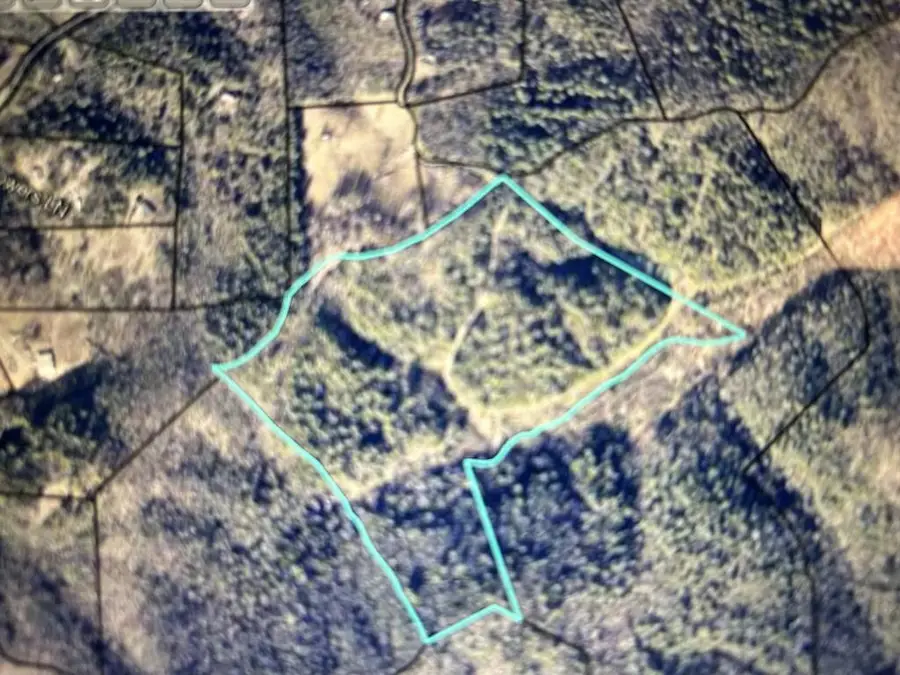 Lot 63 Valley Lake Road, Mineral Bluff, GA 30559 - #2
