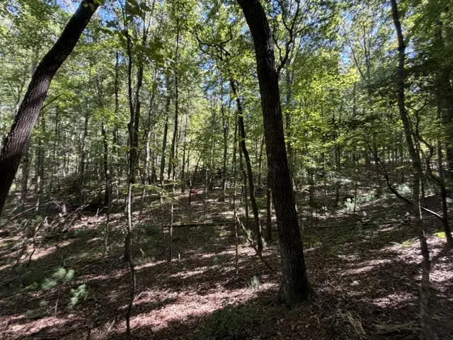 305-433 Seneca Drive, Ellijay, GA 30540 - #1